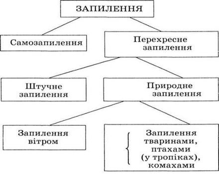 http://subject.com.ua/biology/universal/universal.files/image021.jpg
